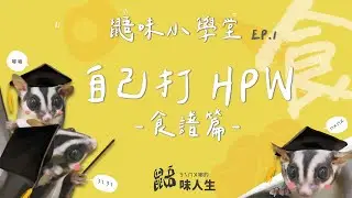 【鼯味小學堂】淺談蜜袋鼯食譜！自己打HPW食譜！馬麻為什麼不打食譜了？－ㄋㄟㄇㄨ嘟的鼯味人生