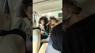 Car Ride Conversations: Day 1610