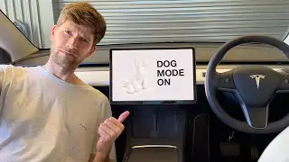 Dog Mode now in Petrol Cars ?? ... 😂