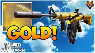 I Unlocked GOLD Camo For The XM4 In Black Ops Cold War...