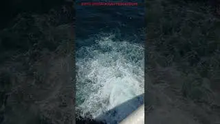 BWTS OPERATIONAL PROCEEDURE   PART 1