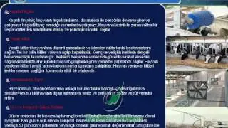 PRODAN-sunum 2011.AVI