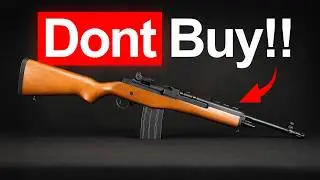 The $300 Survival RIFLES No one Talks About...