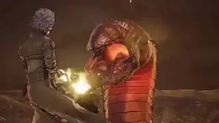 Dank Boys plays