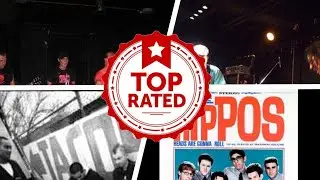 The Best Ska Punk Bands Of All Time 🧡