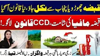 Punjab Property Protection Law Amendment 2025| DRC Committee & Civil Court Role#jinnahtaxlaw