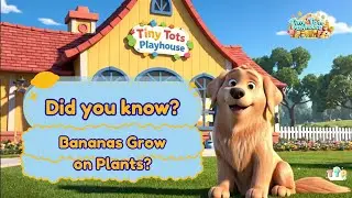 Did You Know Bananas grow on plants? Fun Facts for Toddlers and Preschoolers | Tiny Tots Playhouse