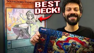TOP 8 REGIONAL - YUMMY SOLFACHORD + HOW I PREPARED