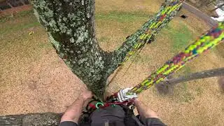 Climbing on the ISC REFLEX - first impressions 