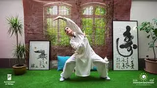 WUDANG WUXING QIGONG II (5 Animales)