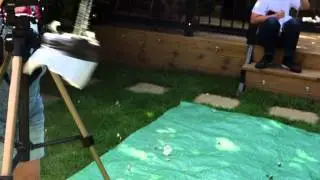 Piggy Bank VS Club Hammer