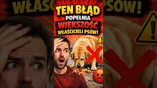 Ten błąd popełnia większość właścicieli ps&oacute;w!!!😱🤯 #shorts #ciekawostki #zwierzaki #trending
