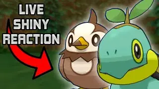 Live! Shiny Turtwig in Pok&eacute;mon Brilliant Diamond! + Uncatchable Shiny Starly
