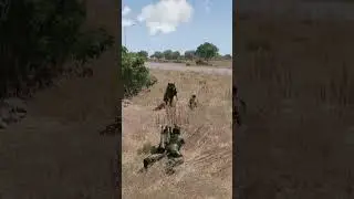 successful ambush #arma3 #army