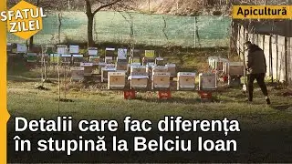 DETALII CARE FAC DIFERENȚA în stupina la Belciu Ioan - Sfatul Zilei
