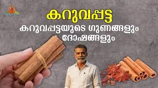 കറുവപ്പട്ട ഗുണങ്ങളും ദോഷങ്ങളും | karuvapatta | cinnamon