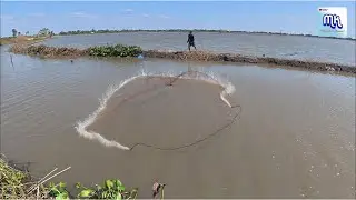 เยอะมาก จับอย่างไรก็ไม่หมด หว่านแห สุพรรณบุรี
