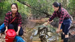 ว๊าวๆปลาเเตกซวดๆกุ้งปูหินมีเเต่โตใหญ่ๆปลารวมหมานๆอีกเเล้วจ้า 🦀🦀🦐🐠🐟16/1/69