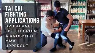 Tai Chi Fighting Applications - Fist to Groin's MMA Knockout