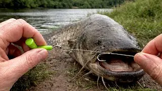 How to Tie Two Hooks on a Fishing Line🎣