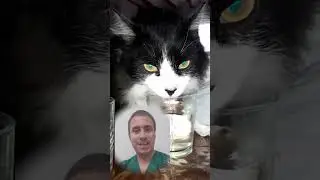 Dale agua al familiar mayor que cuidas