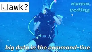 Data filtering in Awk #ambient #coding #programming #notalking
