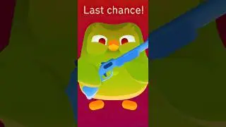 DUOLINGO &mdash; это БЕЗУМИЕ 😭