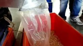 cashew nut color sorter -BruceXiao Moble: +86 13856075653