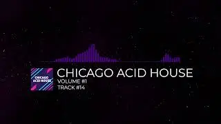 CHICAGO ACID HOUSE -  [VOLUME #1] [TRACK #14]