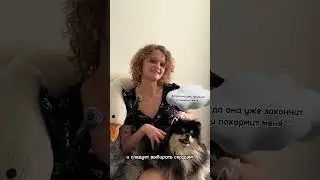 Мальчик или девочка? Как выбрать идеального питомца! #vet #животные #dog #cat #veterinary