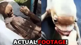 ‼️20 MYSTERIOUS Videos That Are Going Extremely VIRAL NOW‼️