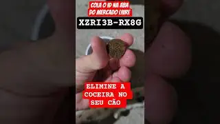 ELIMINE A COCEIRA DO SEU C&Atilde;O #dermatitecanina #longevi #coceiracanina #coceiraemcaes