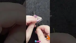 Trylletrick: Den Foldende Pengeseddel! (Nem Tutorial) 🎩