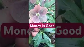 MAMA Money Abundance Mindset #wealth #selfworth #mamatipps