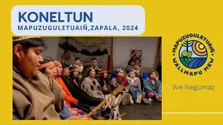 Koneltun Zapala, Puelmapu