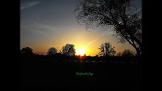 Wasserburg Ro&szlig;lau 2012-2025 lang #video #nature #photography #castle #water #animals