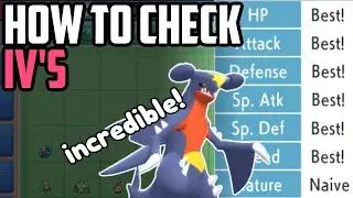 How to Unlock the IV JUDGE Function - Pok&eacute;mon BDSP