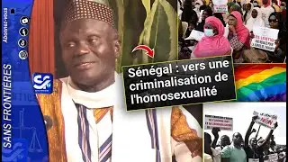 Criminalisation de l'homosexualit&eacute; : Assane Samb expose les blocages que le r&eacute;gime ne dira jamais 