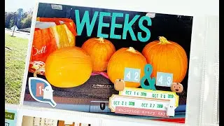 Project Life Process Video- Fall Weeks