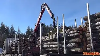 4K| Volvo FH Timber Truck Unloading