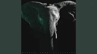 Elephantus
