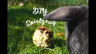DIY Spielzeug Idee für Kaninchen