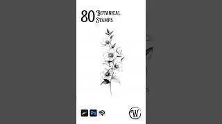 80 Botanical Flower Stamps Procreate by BrushWitchStudio