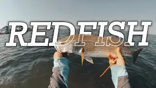 WADE FISHING AT SAN LUIS PASS!