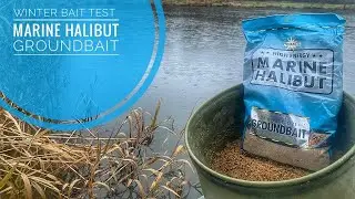 Method Feeder Fishing With Marine Halibut Groundbait | Winter Bait Test
