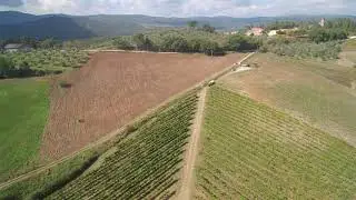 Tenuta Torciano Super Tuscans