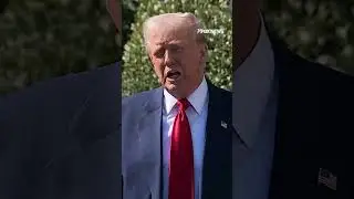 Trump on Elon Musk: 