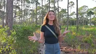 LIMESTONE CREEK NATURAL AREA 2026