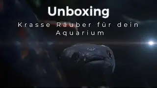 Unboxing der Raubfische!