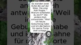 #LustigeGeschichten #WitzeDesTages #HumorPur